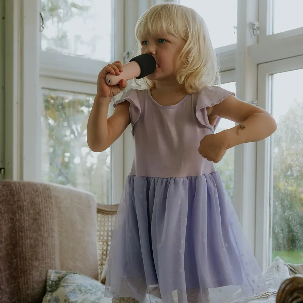 Párty karaoke se dvěma mikrofony – Modré