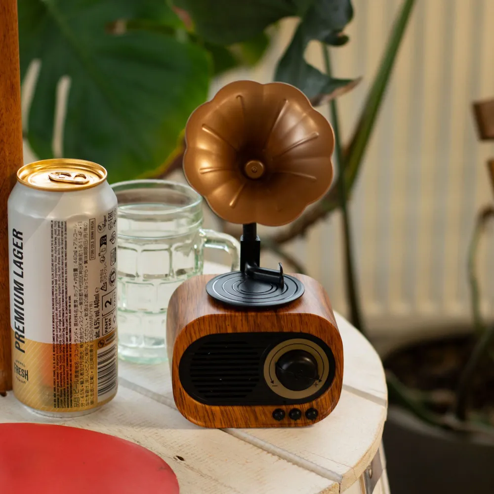 Retro mini gramofonový reproduktor – Bluetooth FM rádio – 5 wattů x 1