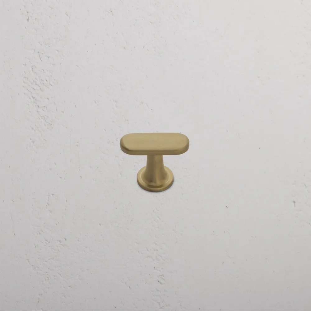 Milliner Cabinet Knob Medium - Antique Zlatý kov