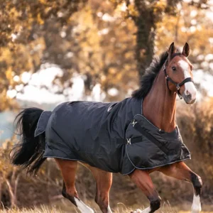 Halifax 2--1 Coperta da turnout leggera e Coperta da walker 200g black/black-white 145