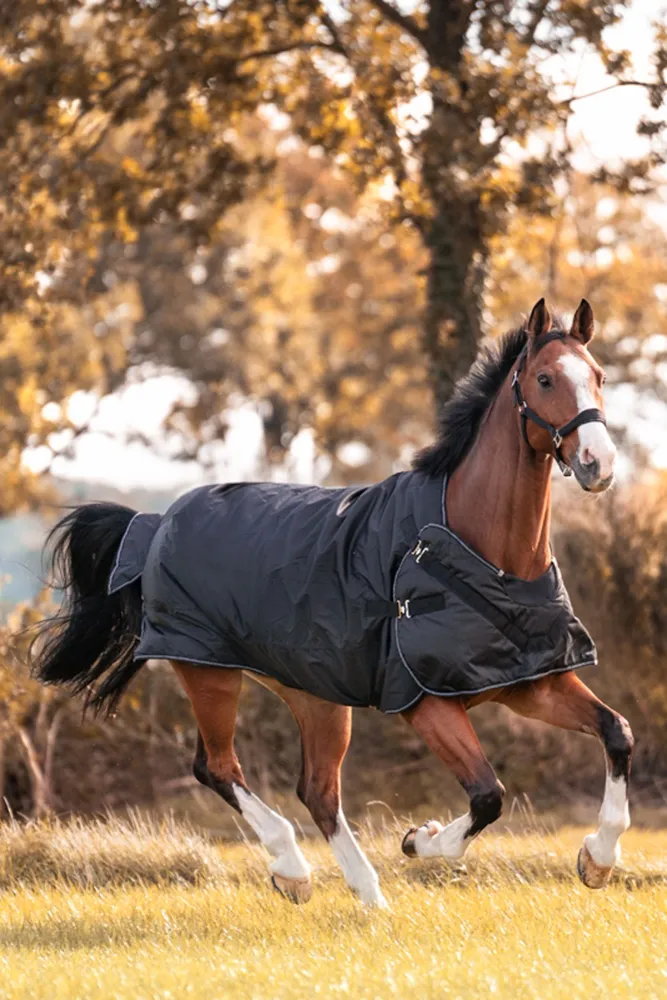 Halifax 2--1 Coperta da turnout leggera e Coperta da walker 200g black/black-white 145