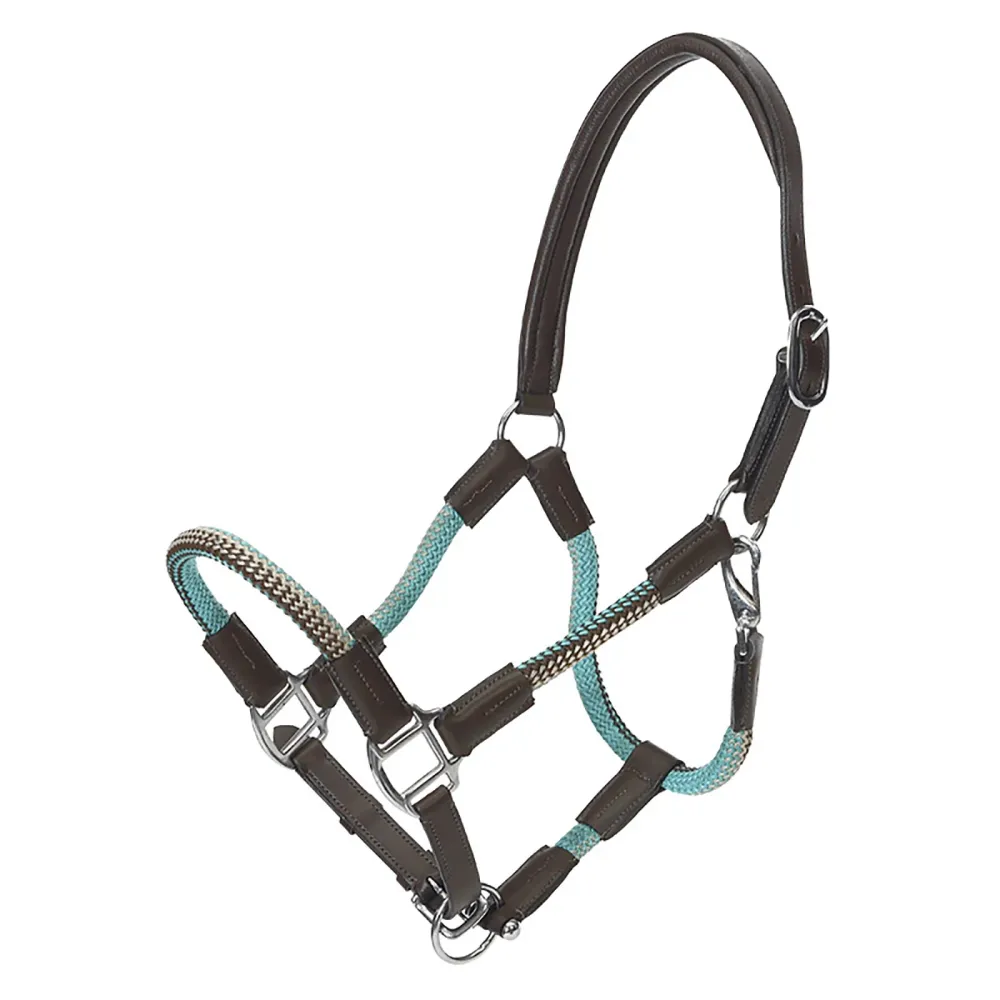 Cavo repgrimma med grimskaft Brown/Turquoise C