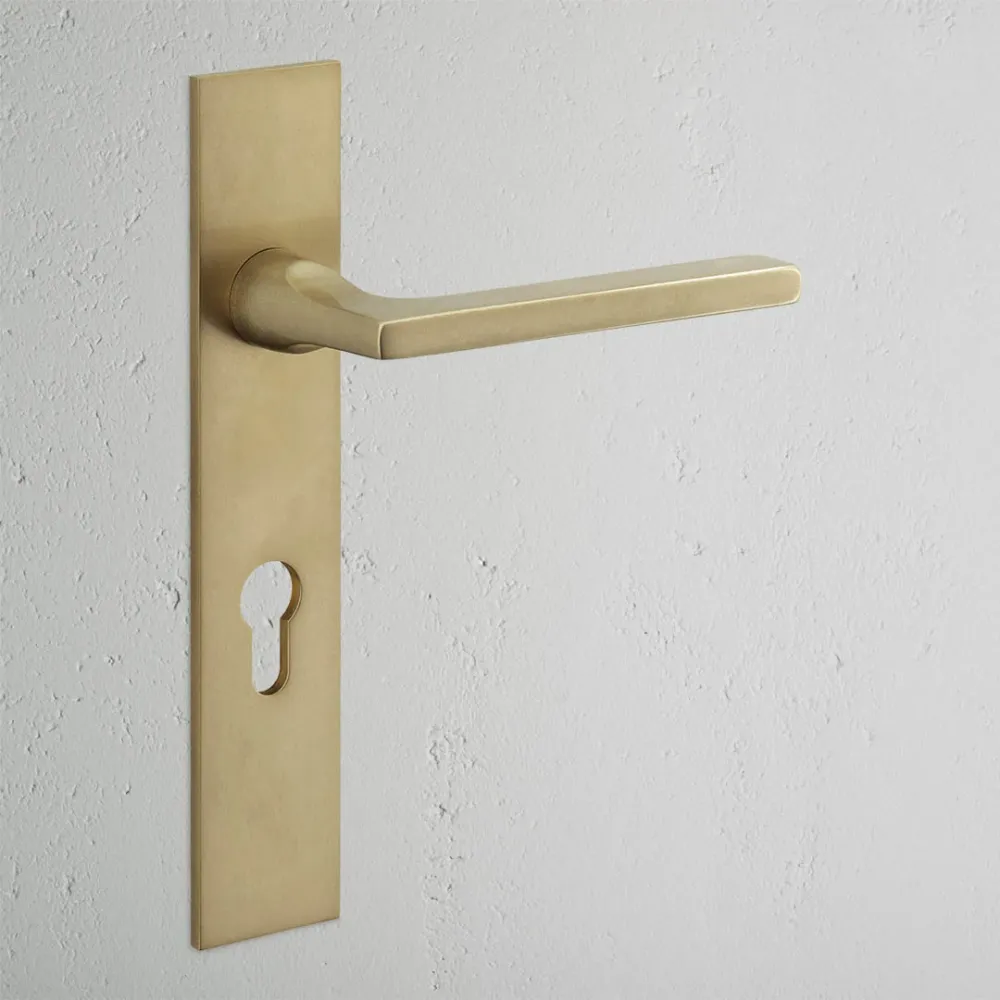 Clayton Long Plate Sprung Door Handle & Euro Lock - Antique Zlatý kov