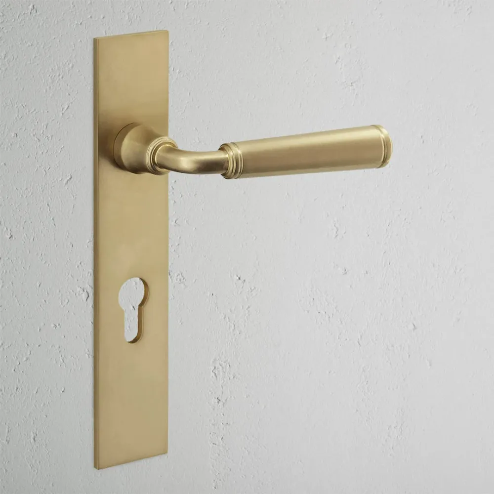 Digby Long Plate Sprung Door Handle & Euro Lock - Antique Zlatý kov