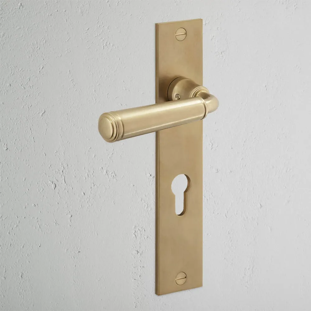 Digby Long Plate Sprung Door Handle & Euro Lock - Antique Zlatý kov