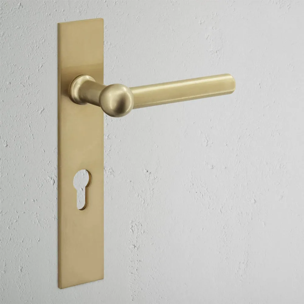 Harper Long Plate Sprung Door Handle & Euro Lock - Antique Zlatý kov