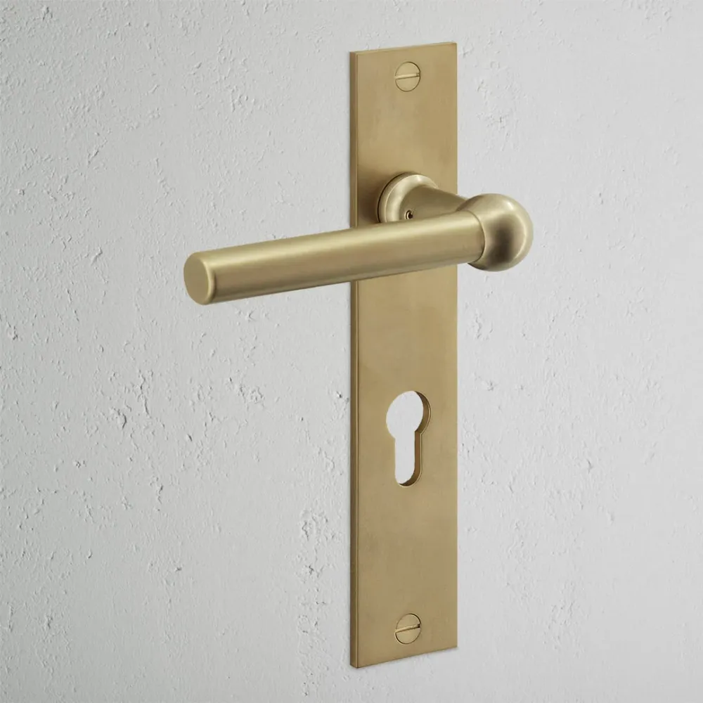 Harper Long Plate Sprung Door Handle & Euro Lock - Antique Zlatý kov