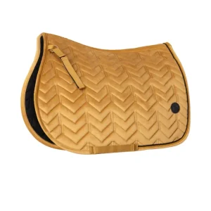 Delémont VS allroundschabrak Golden brown P