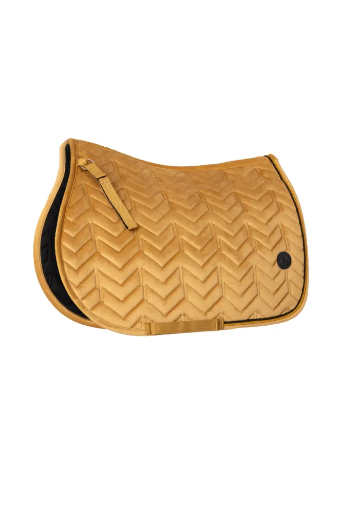 Delémont VS allroundschabrak Golden brown P