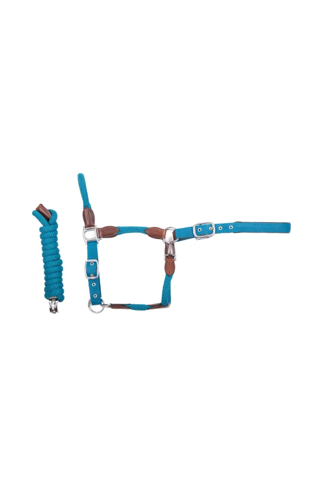 Dublin Halter Sky Blue/ Brown P Practice Essential