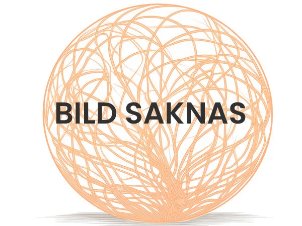 lambda sonda BMW