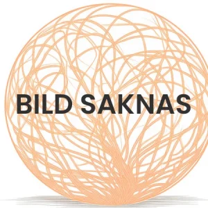 Řadicí páka KTM