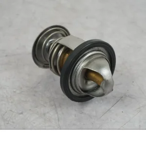 Termostat chladicí kapaliny KTM