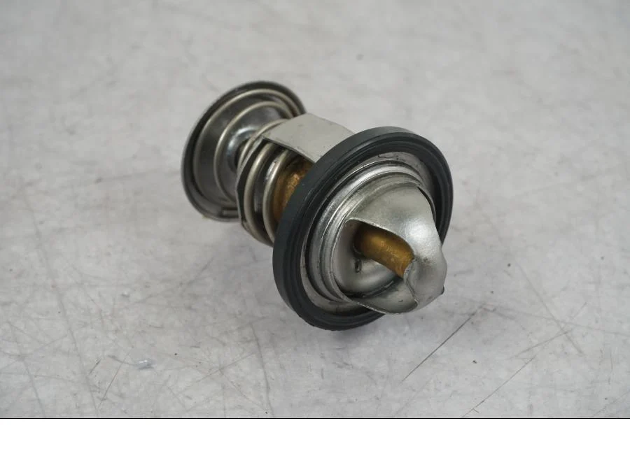 Termostat chladicí kapaliny KTM
