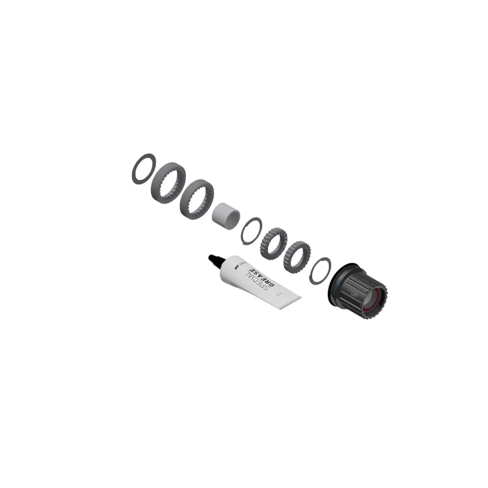 Přestavbová sada DT SWISS Ratchet LN Shimano MicroSpline 12V Steel #HXYXXX00N5968S