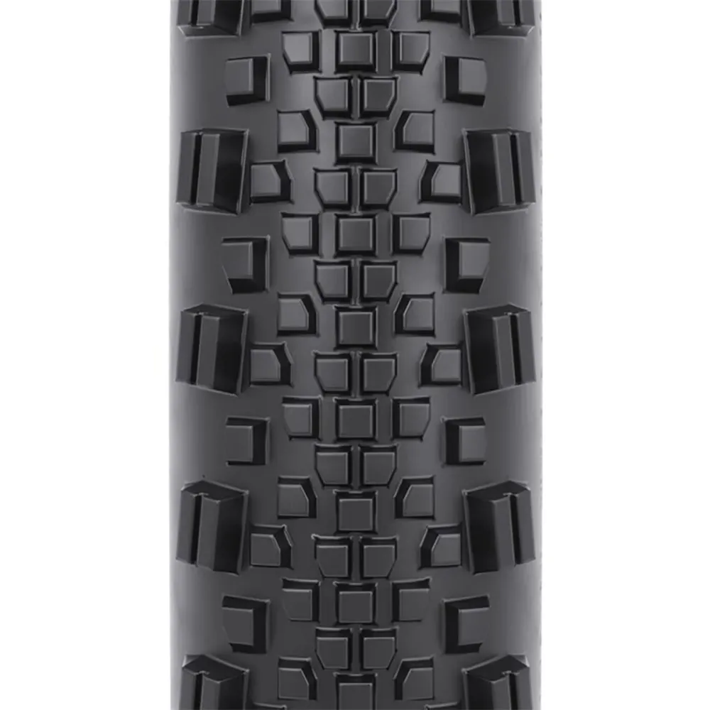 Pneumatika WTB RADDLER 700x44c Tubeless Ready černá