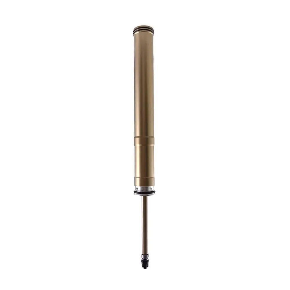 Sada pneumatických pístů FOX RACING SHOX 38 Float NA 2 170 mm
