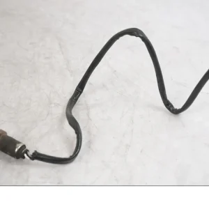 Lambda sonda Triumph