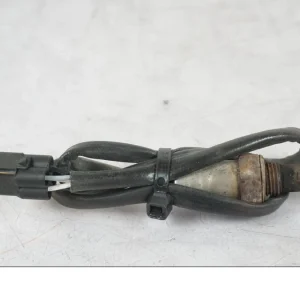 lambda sonda Triumph