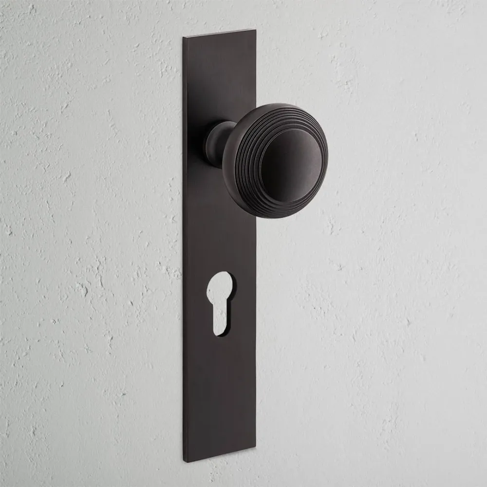 Poplar Long Plate Sprung Door Knob & Euro Lock - Kovově hnědý