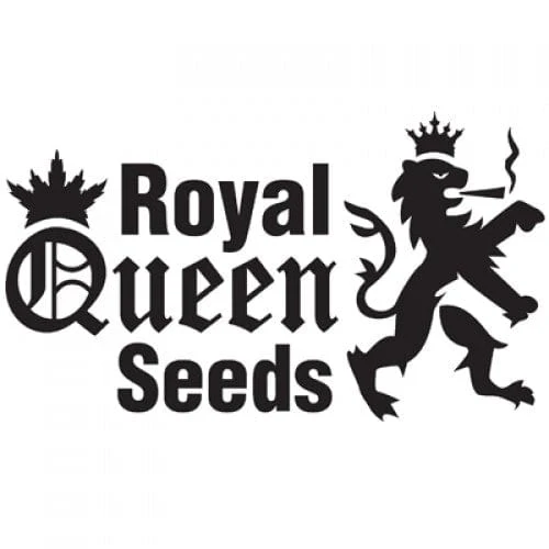 Royal Jack Auto Warehouse Operations