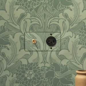 Kew Double Toggle & Swiss Type J Socket - Průhledný Antique Brass | Black