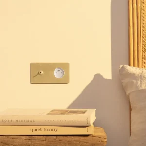 Kew Dual Toggle & French/Belgian Type E Socket - Antique Brass | White