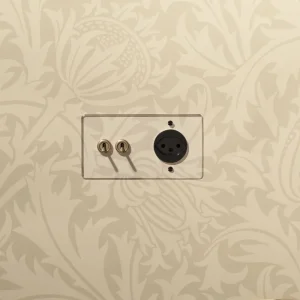 Kew Dual 2x Toggle & Swiss Type J Socket - Clear Antique Brass | Black