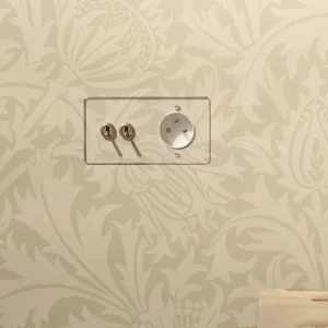 Kew Dvojnásobný 2x Toggle & French/Belgian Type E Socket - Clear Antique Brass | White