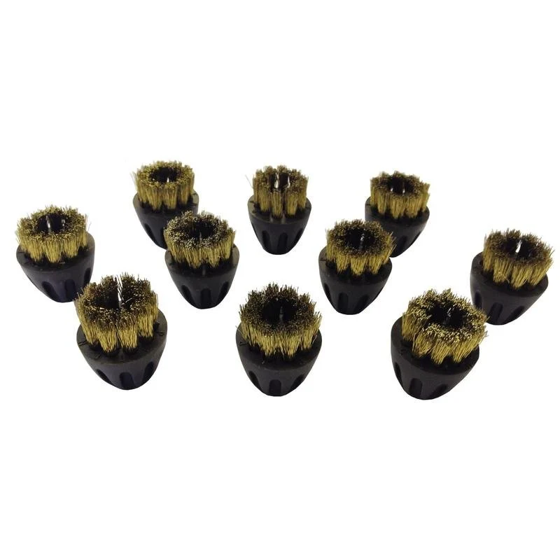 Bronze brushes Taski Steamer, pack 10 zlatý kov brushes SV4 - SDV8) | Pack (10 pieces)