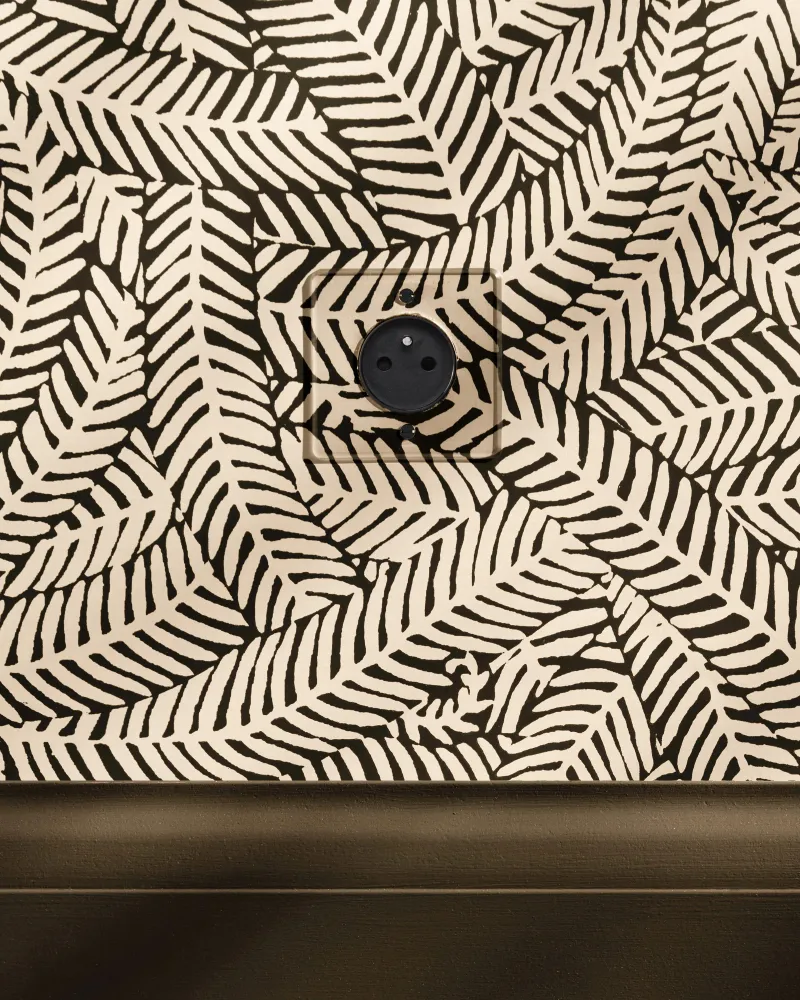 Kew Single French/Belgian Type E Socket - Průhledný | Black