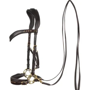 Glory briglia Hackamore con redini (Sistema 2), marrone Brown P