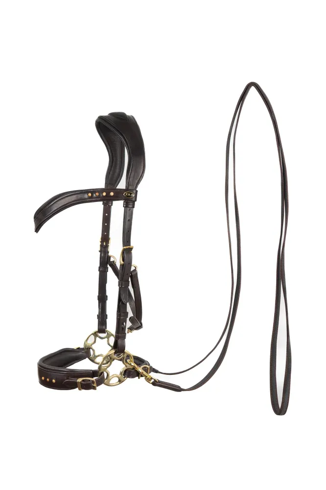 Glory briglia Hackamore con redini (Sistema 2), marrone Brown P