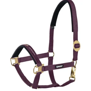 Bulk Bag Halter sliding Buckle Blackberry SHP