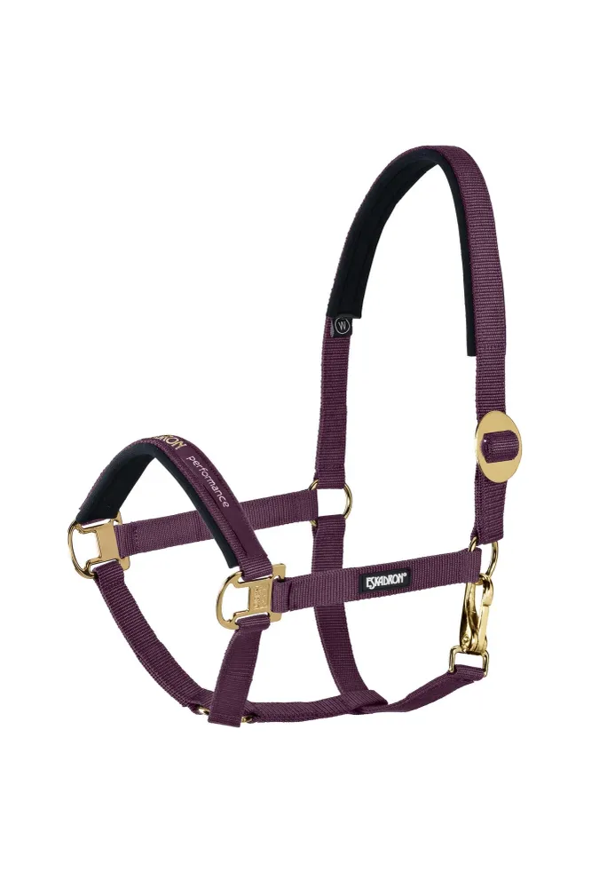 Bulk Bag Halter sliding Buckle Blackberry SHP
