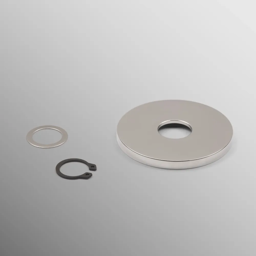 Bulk Bag Spare Internal Flush Rose - Polished Nickel
