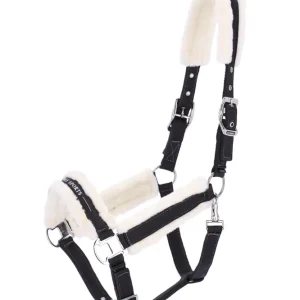 Halter SP Melbourne Style III Dark Grey F