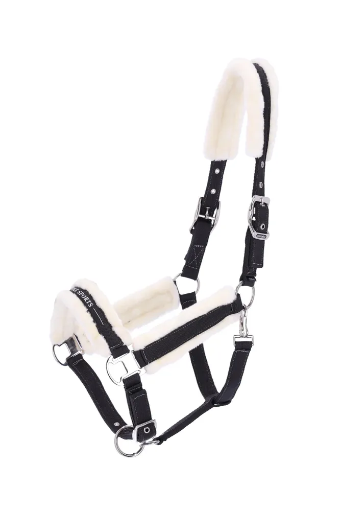 Halter SP Melbourne Style III Dark Grey F