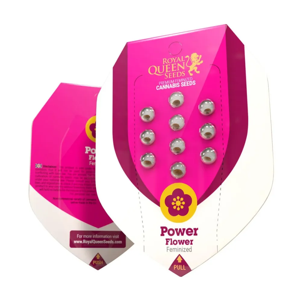 Wall-Mount Power Flower