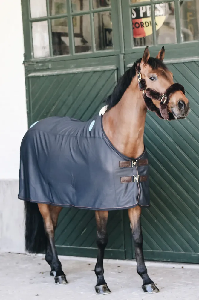 Magnetic Rug Recuptex Dark Blue 140