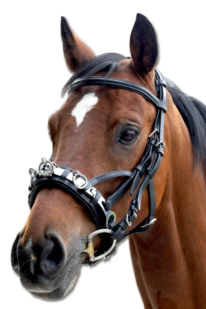 Professional Grade Capezzone Cuoio Black C