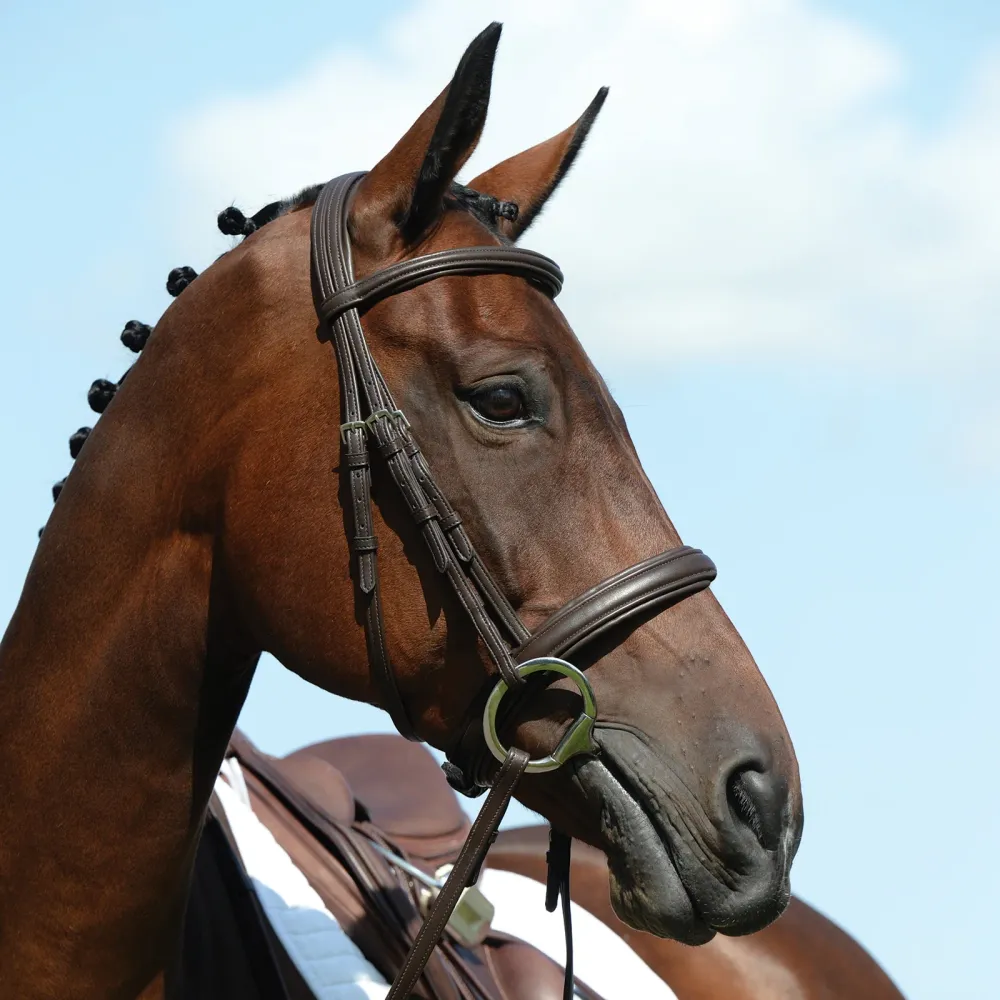 Syntovia+ polstret, hevet hodelag med nesereim Brown C