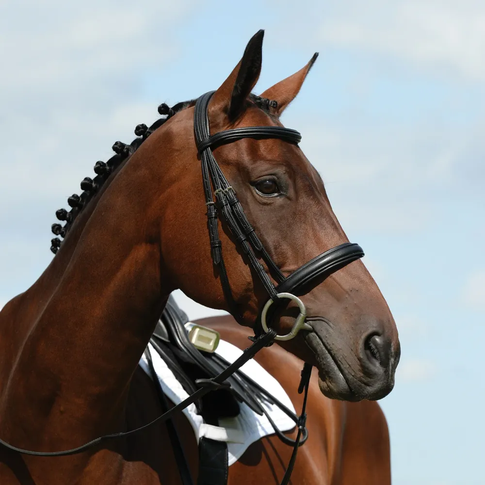 Syntovia+ polstret, hevet hodelag med nesereim Black C