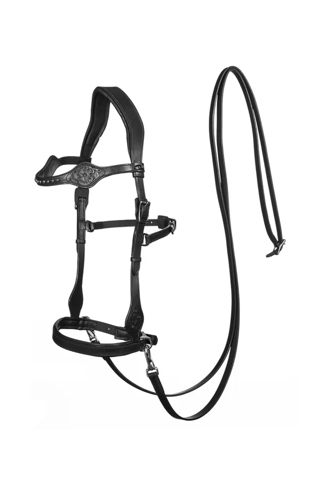 Dandy Sidepull con redini (Sistema 3) Black P