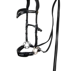 Glory Hackamore suitset ohjilla (System 2), musta Black F