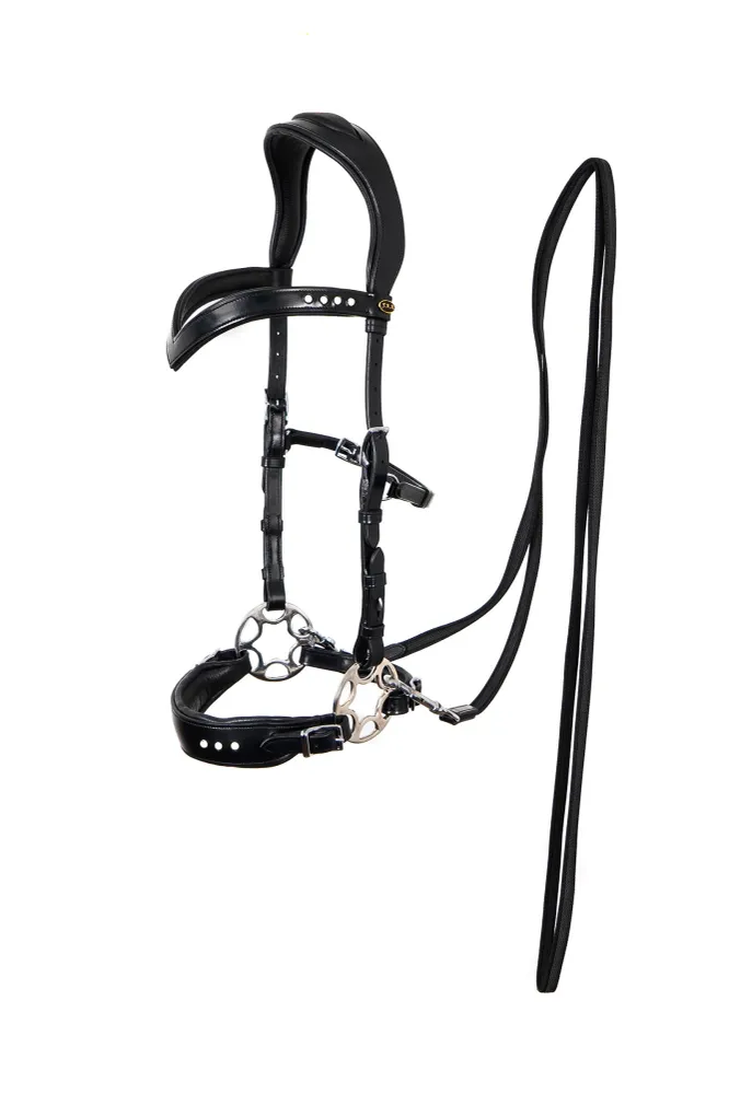 Glory Hackamore suitset ohjilla (System 2), musta Black F