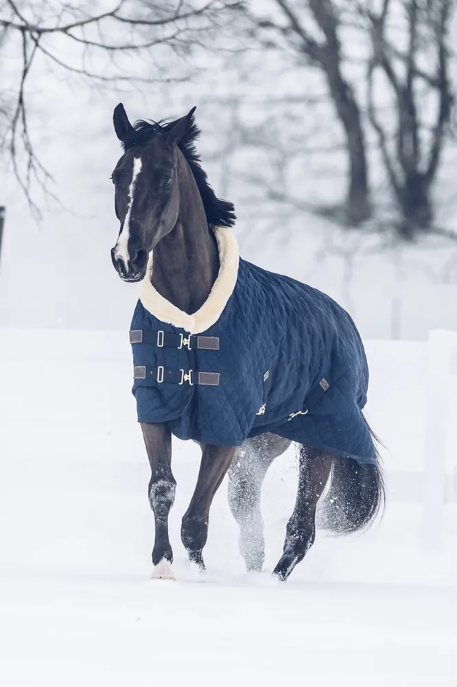 Turnierdecke,160g Dark Blue 145