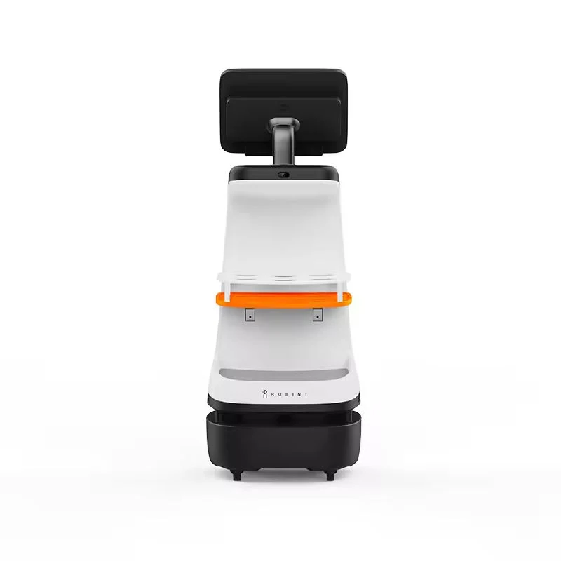 Humanoidní Servisní Robot s AI pro Komerční Využití