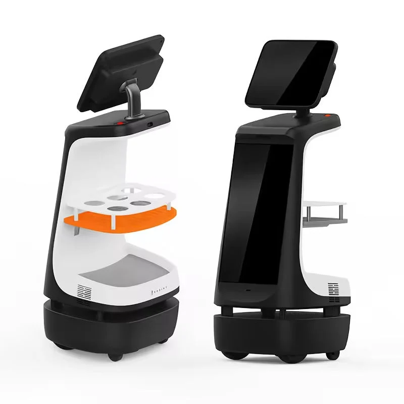 Humanoidní Servisní Robot s AI pro Komerční Využití