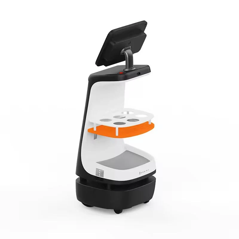 Humanoidní Servisní Robot s AI pro Komerční Využití